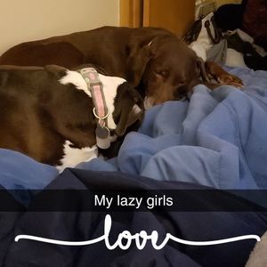 Meet your Posher, Jacob